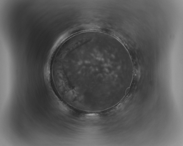 X0000113180053200909111103