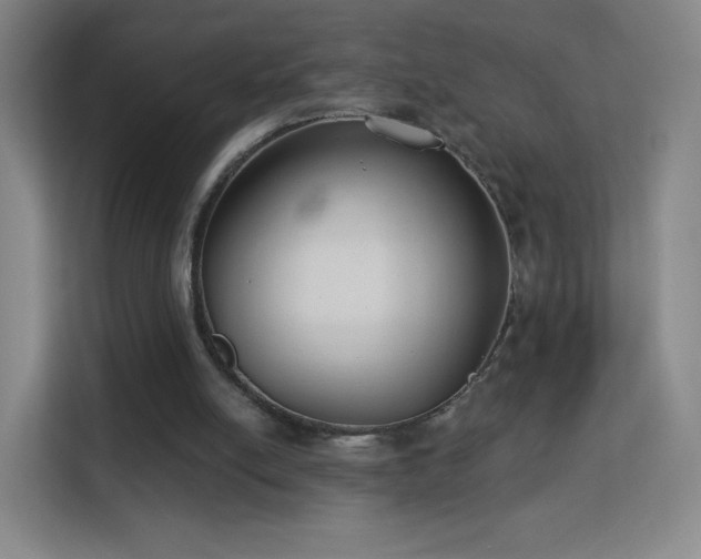 X0000113180054200909111103