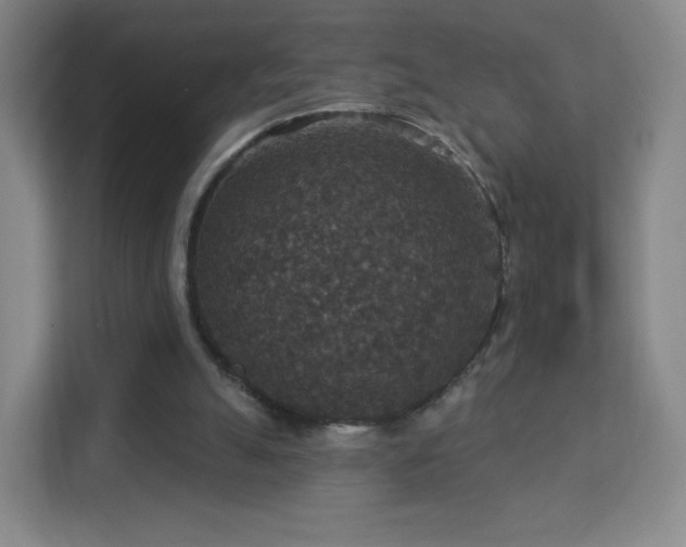 X0000113180055200909111103