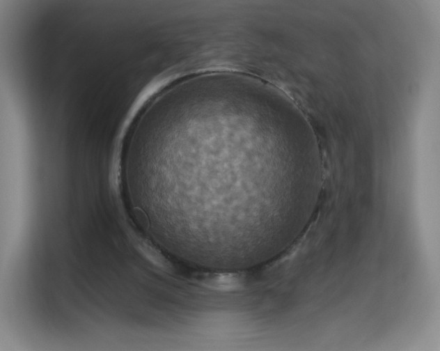 X0000113180056200909111103