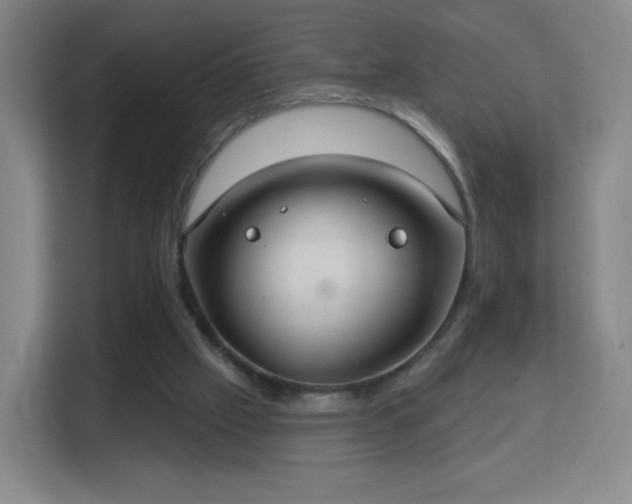 X0000113180057200909111103