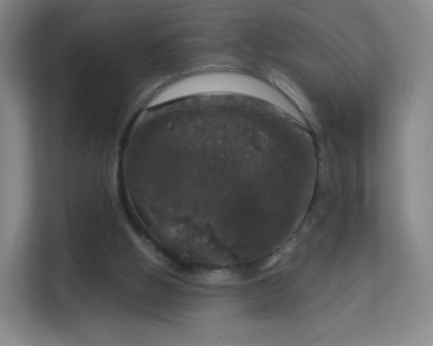 X0000113180058200909111103