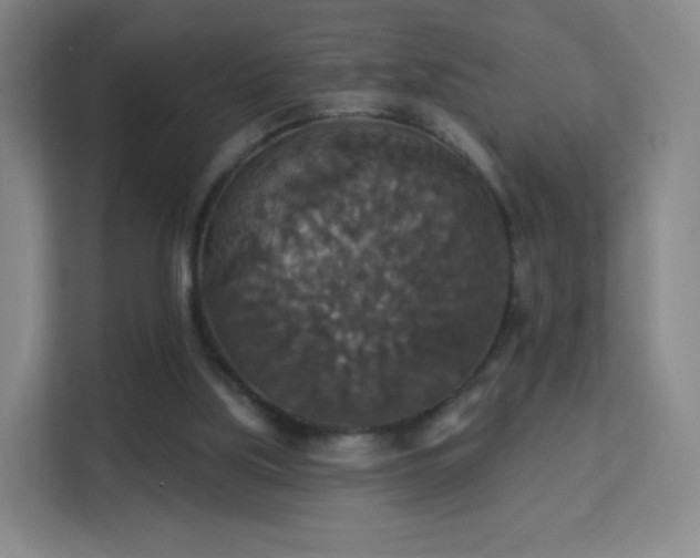 X0000113180059200909111103