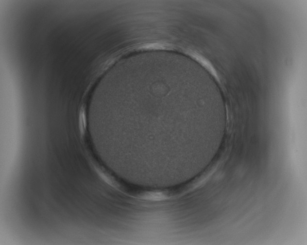 X0000113180061200909111103