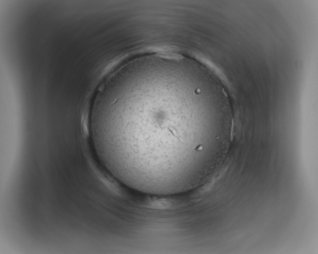 X0000113180062200909111103