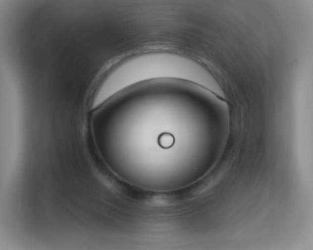 X0000113180064200909111103