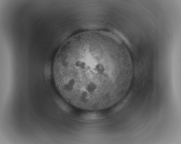 X0000113180065200909111103