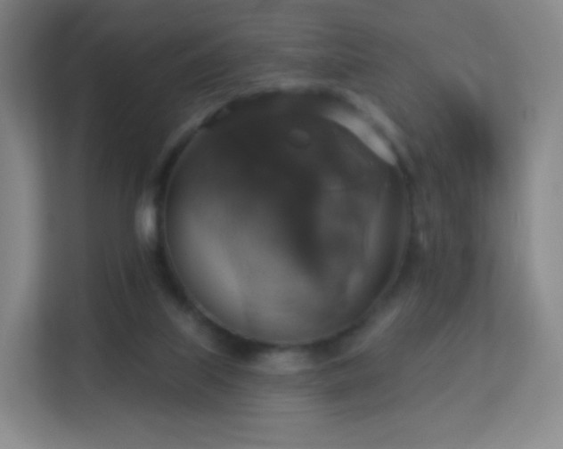 X0000113180067200909111103