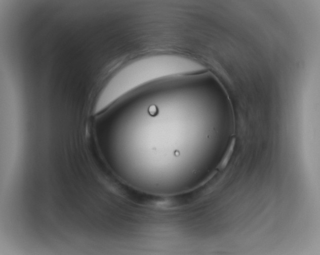 X0000113180068200909111103