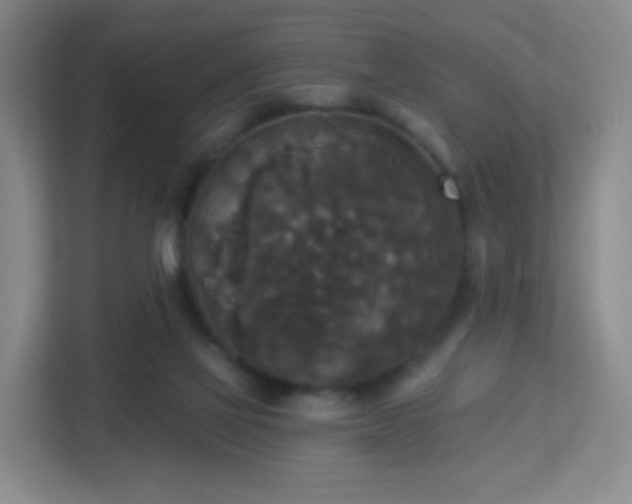 X0000113180069200909111103