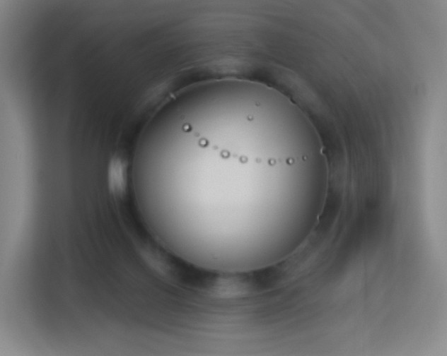 X0000113180070200909111103