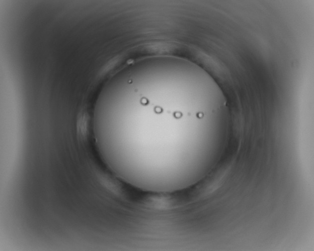 X0000113180071200909111103