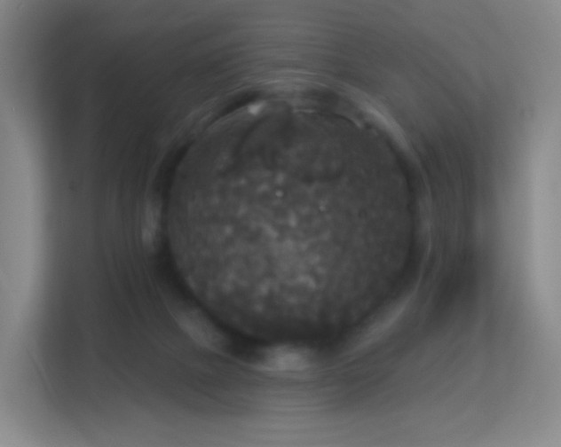 X0000113180073200909111103