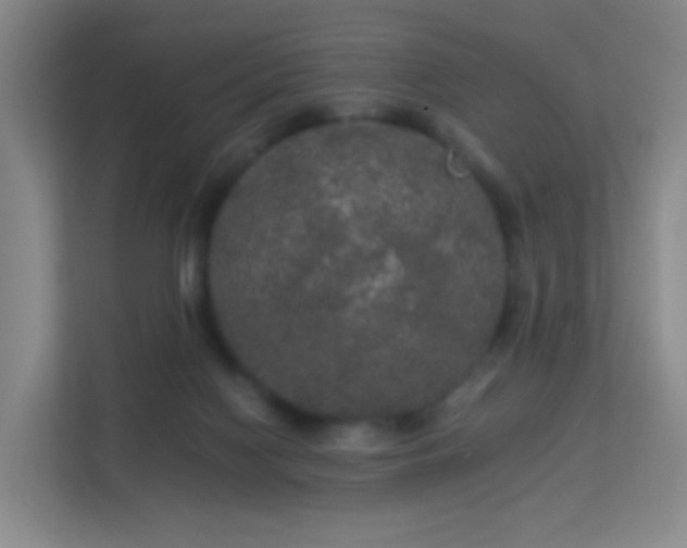 X0000113180074200909111103