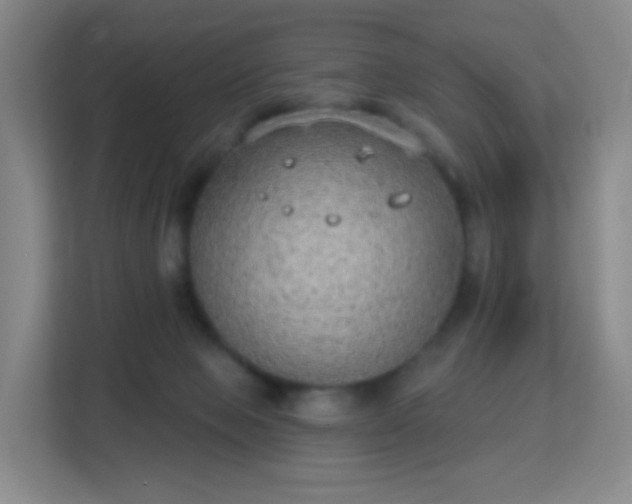 X0000113180077200909111103