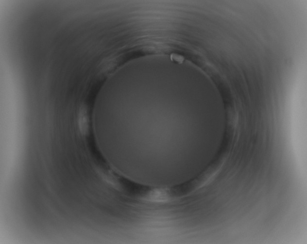 X0000113180080200909111103