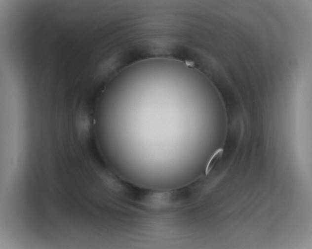 X0000113180084200909111103