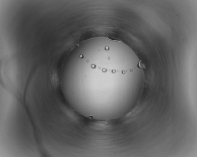 X0000113180086200909111103