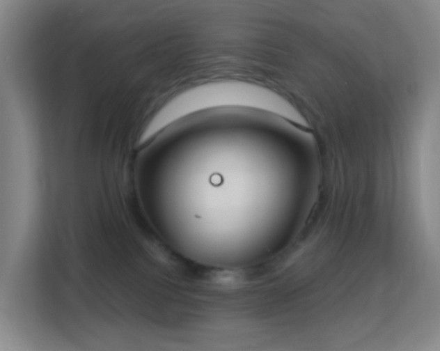 X0000113180088200909111103