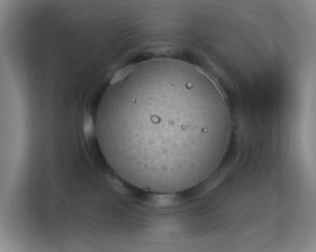 X0000113180089200909111103