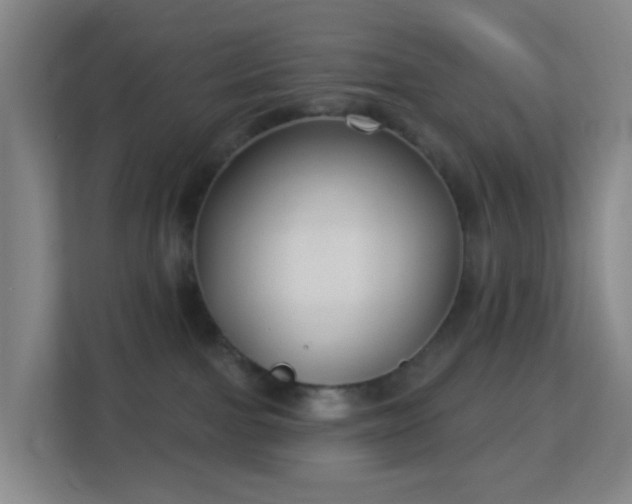 X0000113180091200909111103