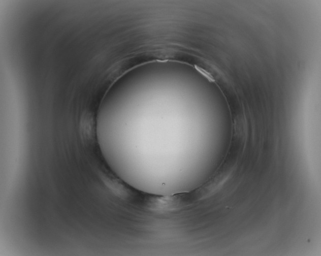 X0000113180092200909111103