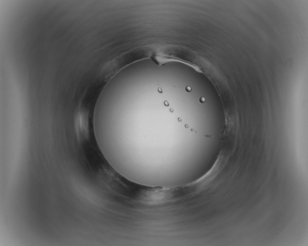 X0000113180094200909111103