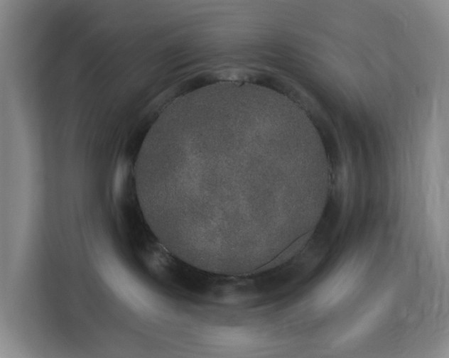 X0000113180095200909111103