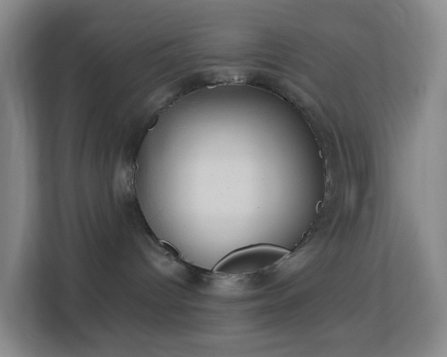 X0000113180096200909111103