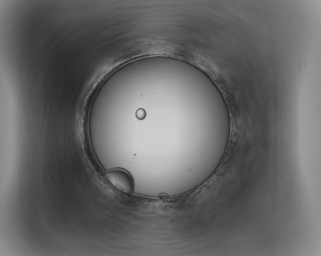 X0000113180098200909111102