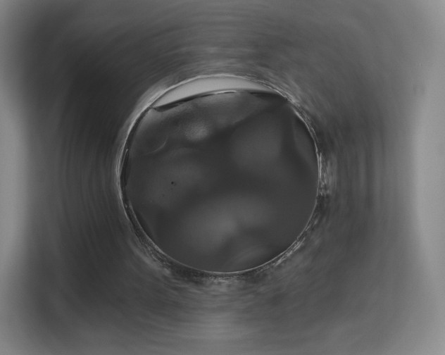 X0000113180099200909111102