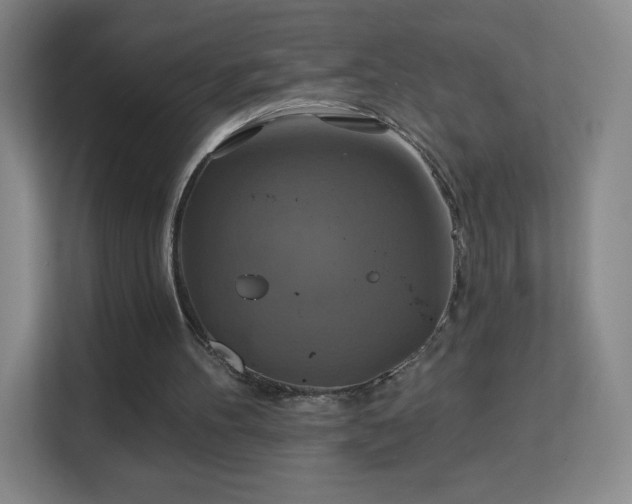 X0000113180100200909111102