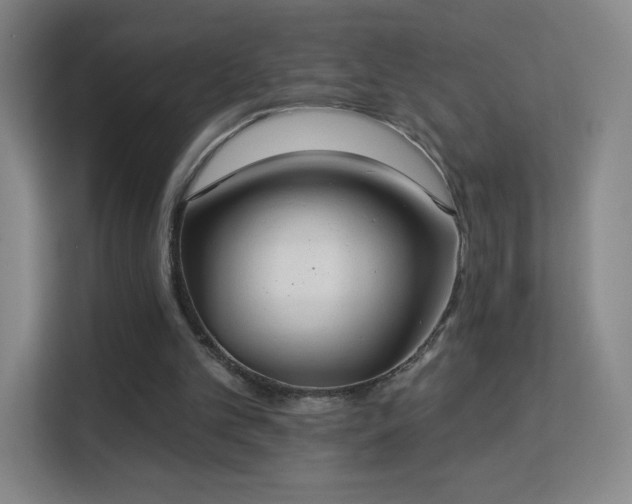 X0000113180101200909111102
