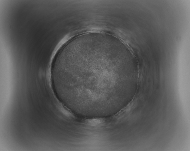 X0000113180102200909111102