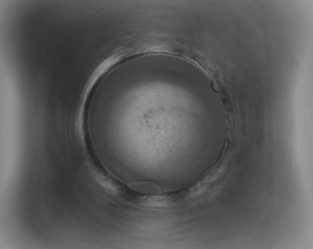 X0000113180104200909111102