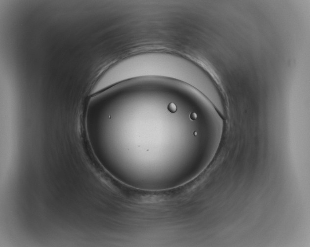 X0000113180105200909111102