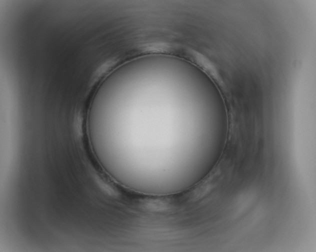 X0000113180106200909111102