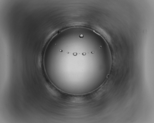 X0000113180107200909111102