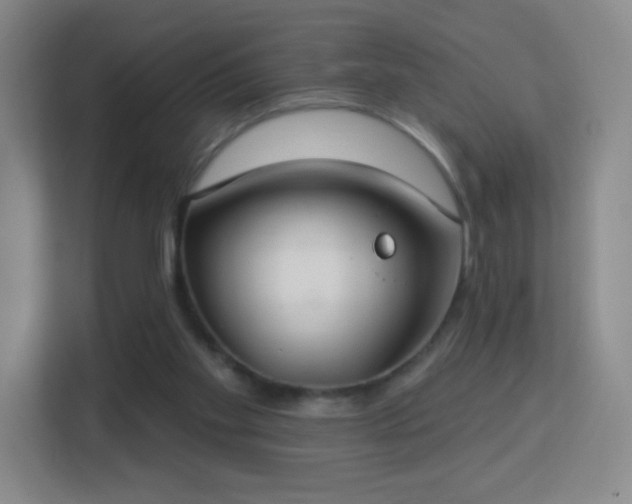 X0000113180109200909111102