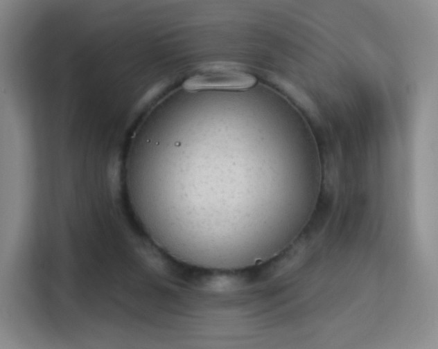 X0000113180111200909111102