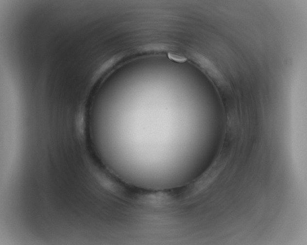 X0000113180112200909111102