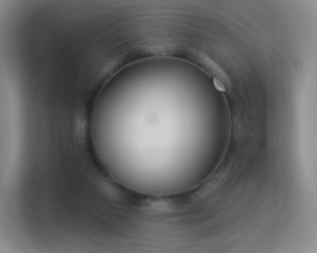 X0000113180113200909111102