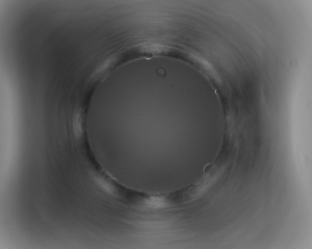 X0000113180114200909111102