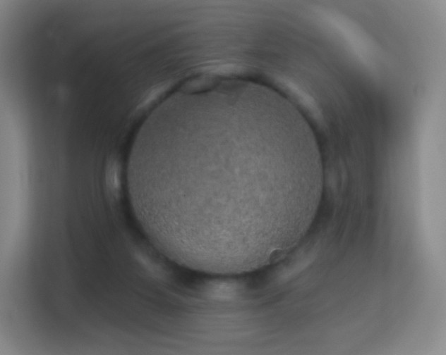 X0000113180115200909111102