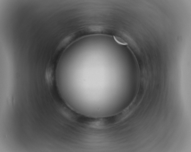 X0000113180116200909111102