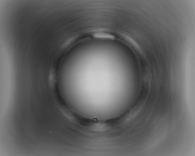 X0000113180119200909111102