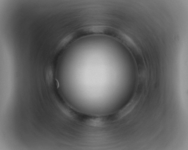 X0000113180120200909111102