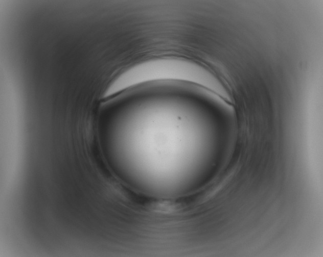 X0000113180121200909111102