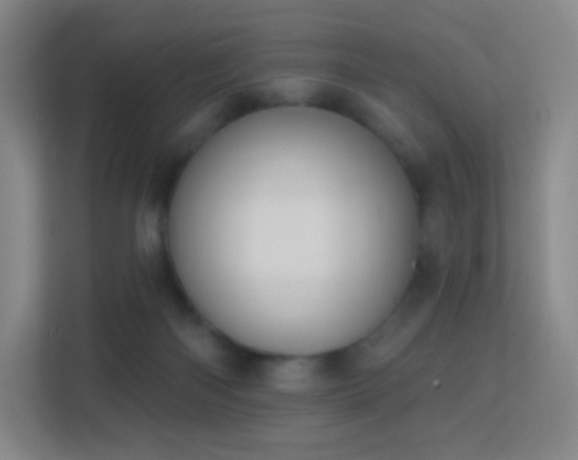 X0000113180122200909111102