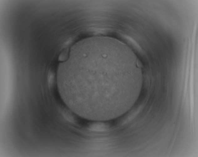 X0000113180123200909111102